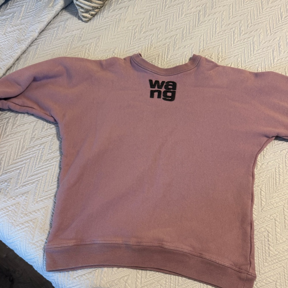 Alexander Wang Dusty Pink  Sweatshirt